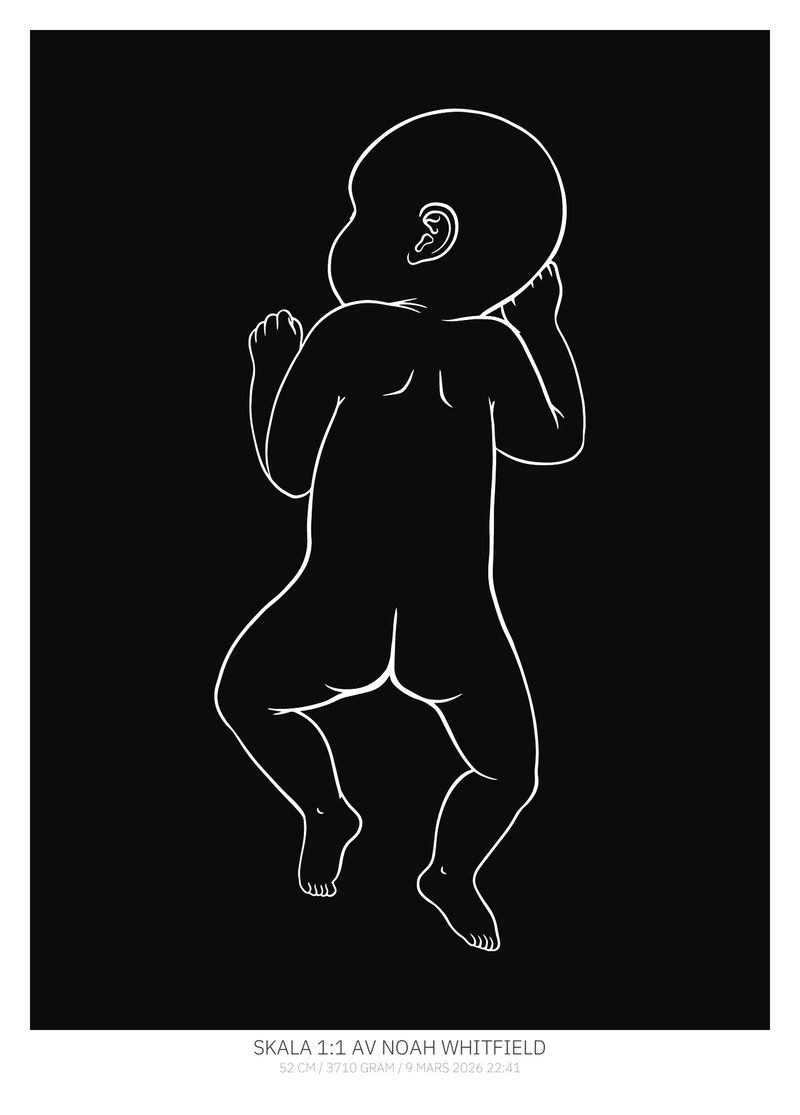 From behind – Ink
