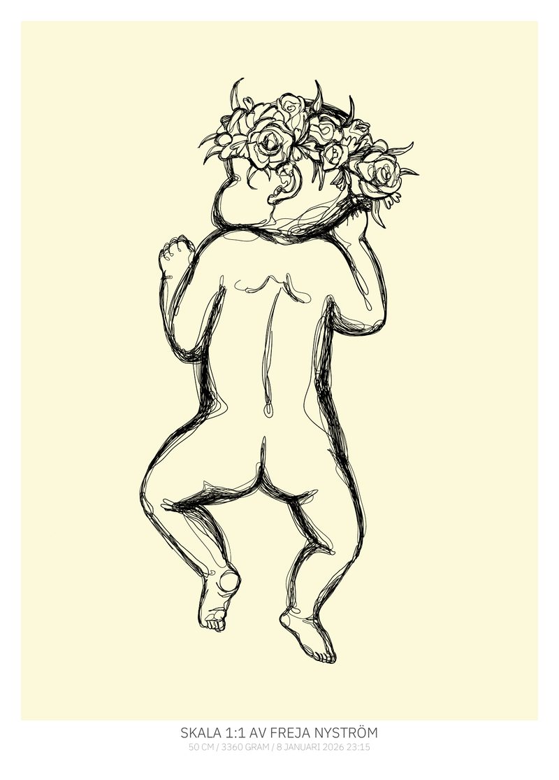 From behind – Daffodil